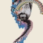 Preview: Animal Collective - Painting With - LP+7"