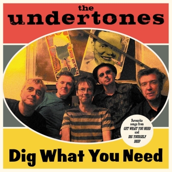 The Undertones - Dig What You Need - LP