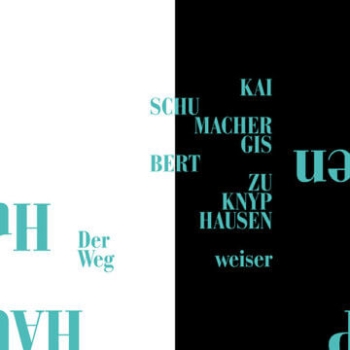 Gisbert zu Knyphausen & Kai Schumacher - Der Wegweiser - Limited 7"